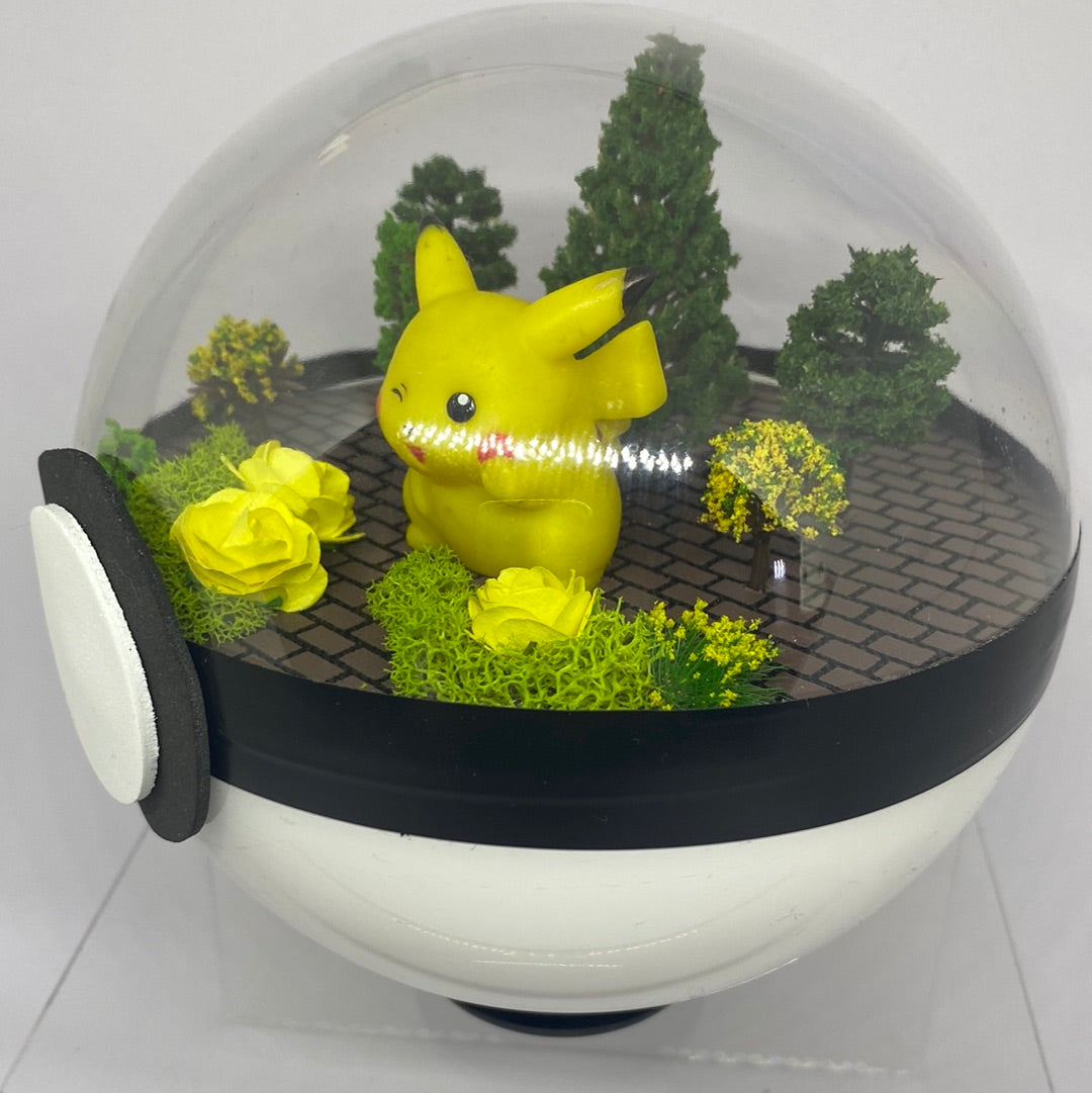 Pikachu Pokeball Terrarium