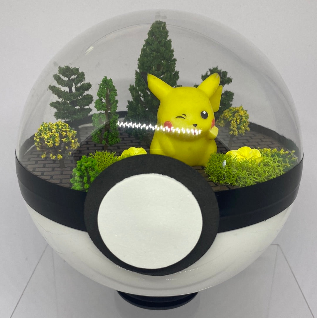 Pikachu Pokeball Terrarium – Random Smash