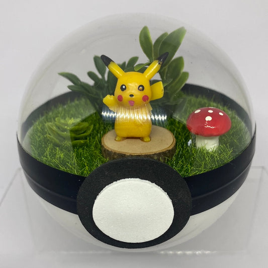 Pikachu Pokeball Terrarium